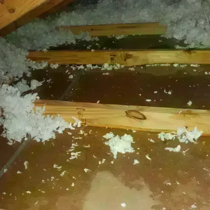 Attic Water Damage in Wheat Ridge, CO