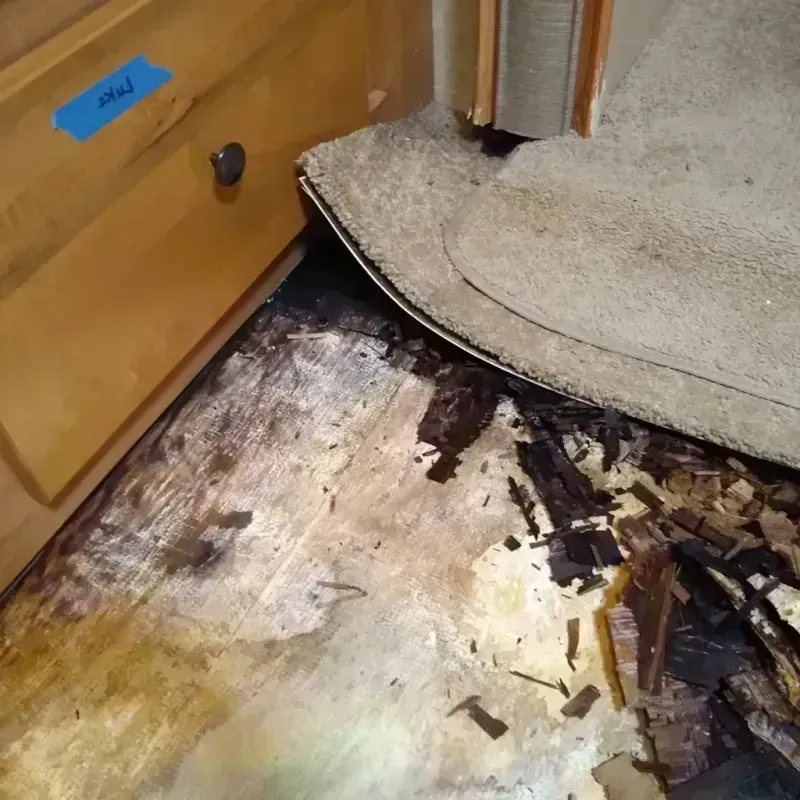 Best Wood Floor Water Damage Service in Wheat Ridge, CO